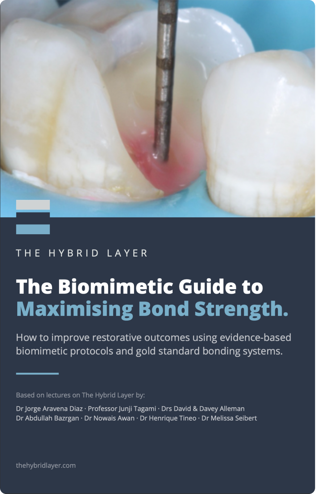 The Biomimetic Guide to Maximising Bond Strength, front cover