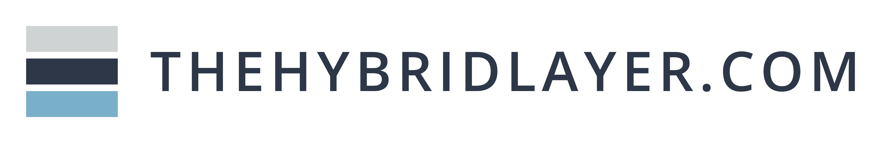 The Hybrid Layer logo with thehybridlayer.com in navy